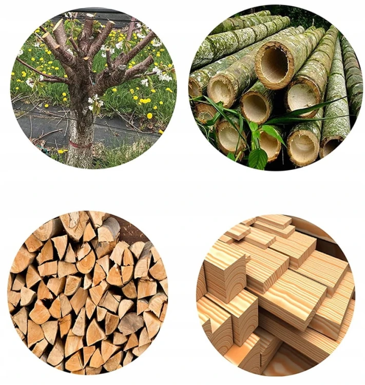 AKUMULATOROWA-PILARKA-PILA-LANCUCHOWA-ZESTAW-XXL-Marka-Majster.jpg