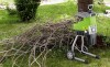 3b5afcdb408d998e86a4af804d5e.jpg