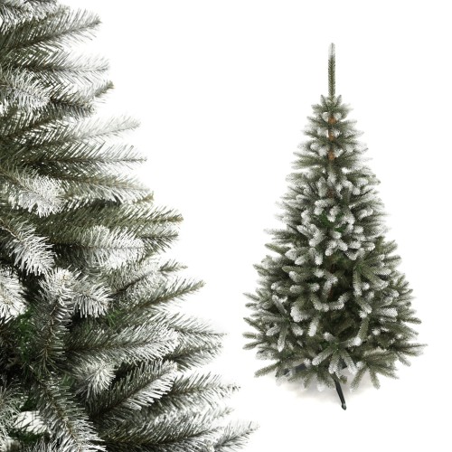 świerk malowany1.jpg