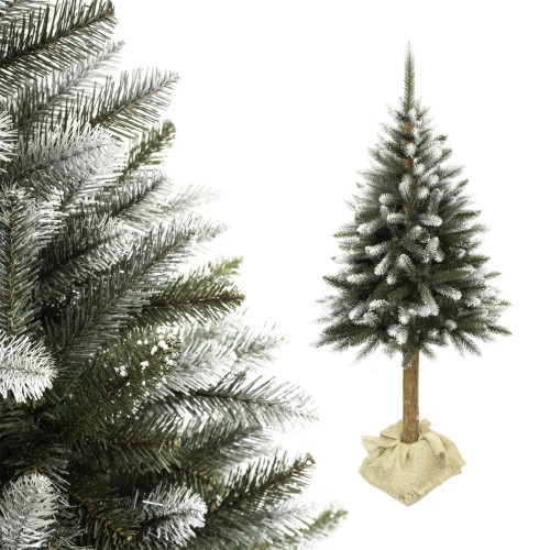 świerk lux na pniu.jpg