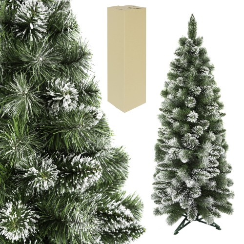 Thuja Smaragd.jpg