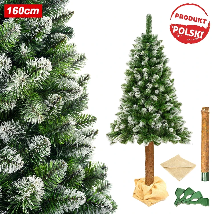 Choinka Sosna Diamentowa Na Pniu PREMIUM Produkt Polski - 160.jpg